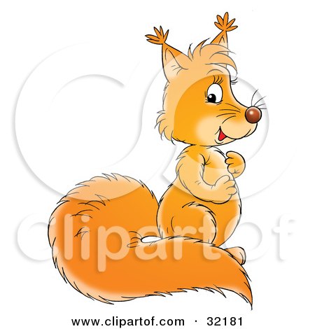 Clipart Illustration of a Cute Squirrel With A Bushy Tail, Rubbing Its Belly by Alex Bannykh