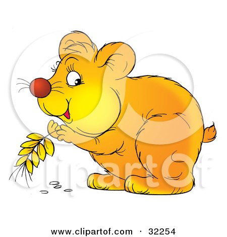 Clipart Illustration of a Cute Hamster Storing Grains Of Wheat In His Cheeks by Alex Bannykh