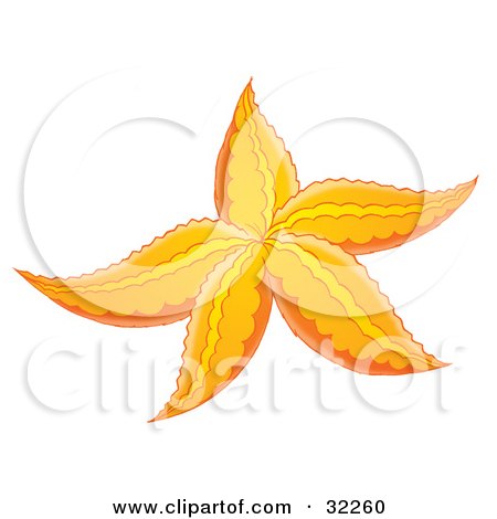 Clipart Illustration of a Yellow And Orange Starfish by Alex Bannykh