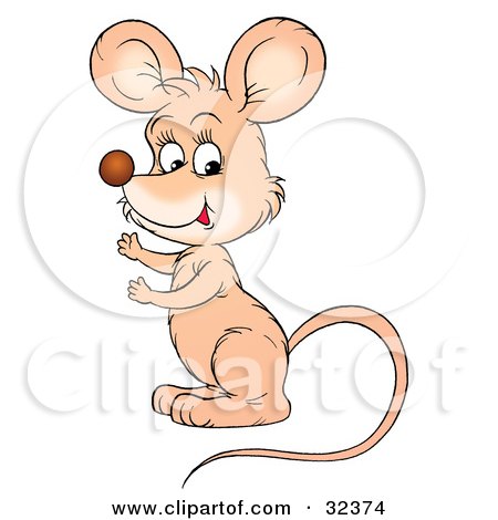 Clipart Illustration of a Cute Beige Mouse With A Long Tail, Gesturing And Facing To The Left by Alex Bannykh