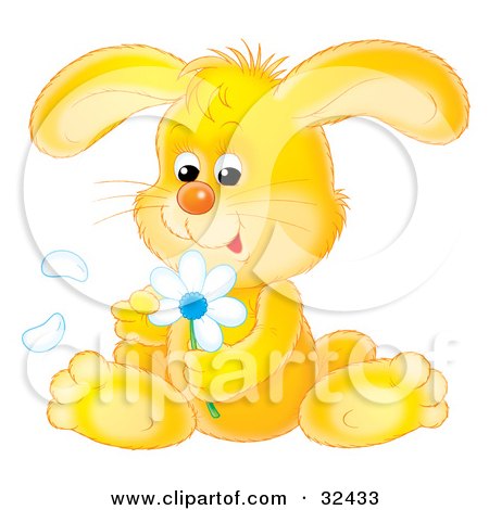 Clipart Illustration of a Cute Yellow Bunny Rabbit Sitting And Picking Petals Off Of A White Daisy Flower by Alex Bannykh