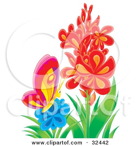 Clipart Illustration of a Colorful Butterfly In A Blue Flower Near A Stalk Of Red Flowers by Alex Bannykh