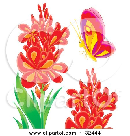 Clipart Illustration of a Colorful Butterfly Near Stalks Of Red Flowers by Alex Bannykh