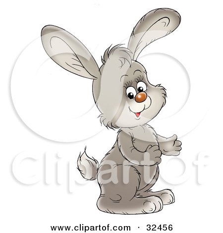 Clipart Illustration of a Gray Bunny Rabbit Gesturing With His Hands, Facing To The Right by Alex Bannykh