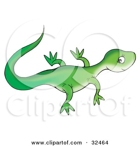 Clipart Illustration of a Cute Green Lizard Facing Right, Glancing Back At The Viewer by Alex Bannykh