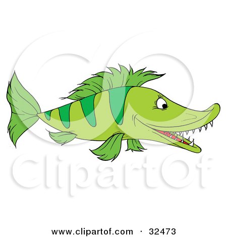Clipart Illustration of a Green Fish With Stripes And Sharp Teeth, Swimming In Profile by Alex Bannykh