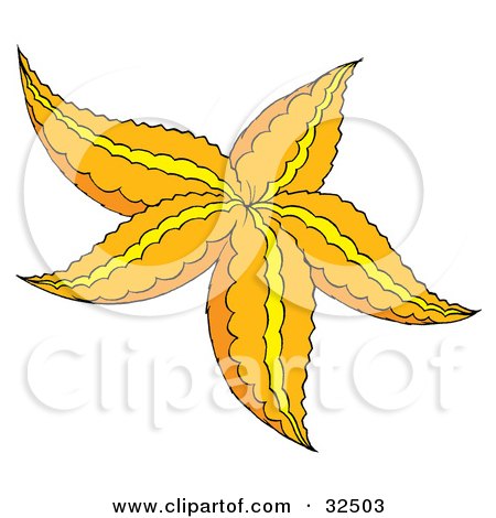 Clipart Illustration of an Orange Starfish With Yellow Lines by Alex Bannykh