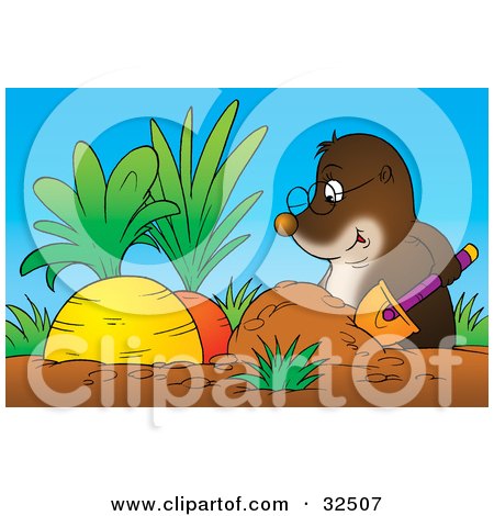 Clipart Illustration of a Gopher Wearing Glasses, Digging Up Two Big Juicy Carrots In A Garden by Alex Bannykh