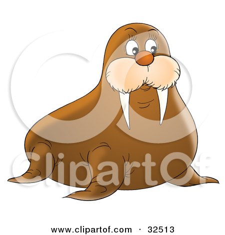 Clipart Illustration of a Cute Brown Walrus With Short But Sharp Tusks by Alex Bannykh