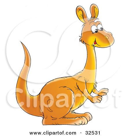Clipart Illustration of a Cute Orange Kangaroo In Profile, Facing To The Right by Alex Bannykh