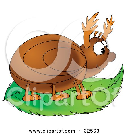 Clipart Illustration of a Happy Brown Beetle On A Green Leaf by Alex Bannykh