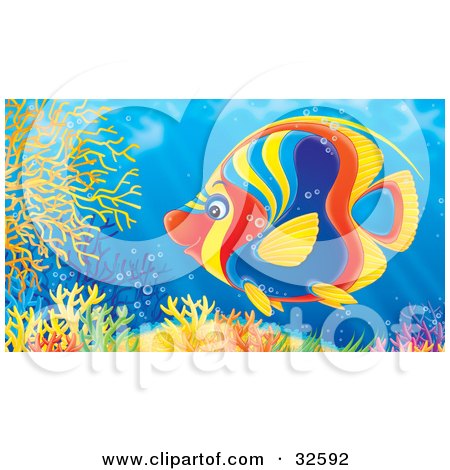 Clipart Illustration of a Vibrantly Colored Red, Blue, Yellow And Orange Angelfish Swimming Over A Colorful Coral Reef by Alex Bannykh