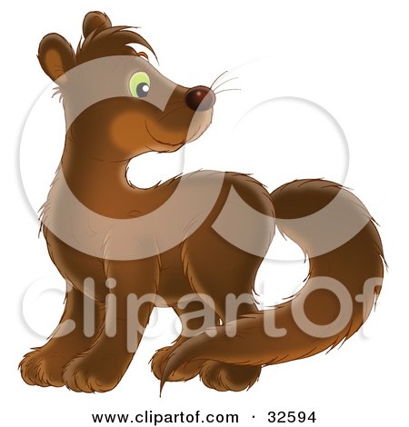 Clipart Illustration of an Adorable Brown Mink With Green Eyes, Looking Back Over Its Shoulder by Alex Bannykh