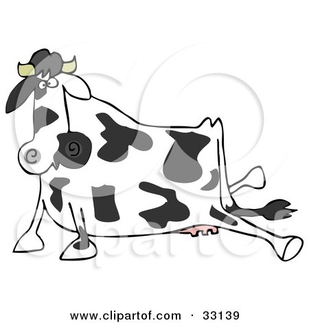 Clipart Illustration of a Black And White Dairy Cow After Slipping, Its Hind Legs Sprawled Out by djart