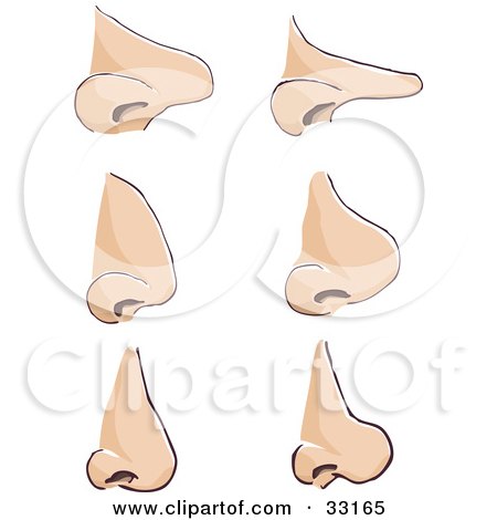 Clipart Illustration of a Set Of Six Different Human Noses by PlatyPlus Art