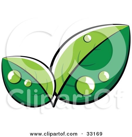 Clipart Illustration of a Pre-Made Logo Of Lush Green Leaves With Dew by beboy