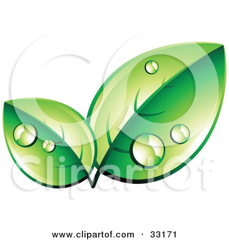 Clipart Illustration of a Pre-Made Logo Of Organic Green Leaves Wet With Dew by beboy