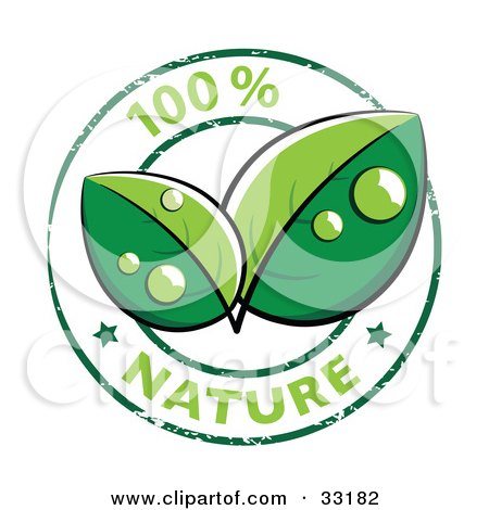 Clipart Illustration of Two Lush Green Organic Leaves With Dew In The Center Of A 100 Percent Nature Stamp With Two Stars by beboy