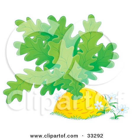 Clipart Illustration of White Daisies Growing Around A Giant Turnip Or Carrot by Alex Bannykh