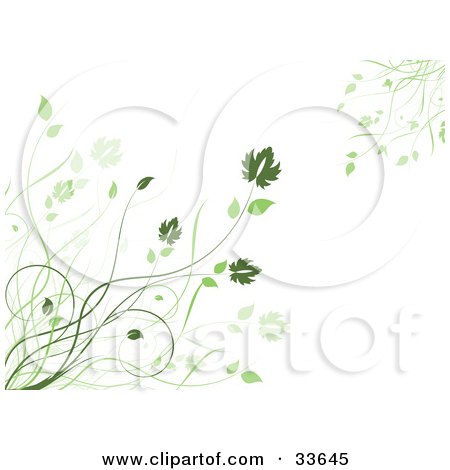 Clipart Illustation of Green Grasses And Leaves Growing In The Corners Of A White Background by KJ Pargeter