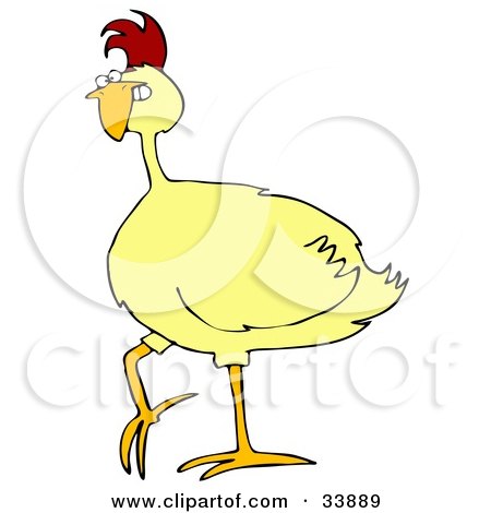 Clipart Illustration of a Mad Yellow Chicken Gritting Its Teeth by djart
