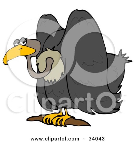 Clipart Illustration of a Grumpy Vulture Bird Sitting On A Branch And Glancing At The Viewer by djart