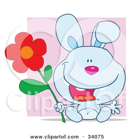 Clipart Illustration of a Joyful Blue Bunny Rabbit Sitting With A Red Daisy Flower In Front Of A Purple Square by Hit Toon