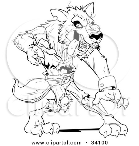 Clipart Illustration of a Ferocious Wolfman In Ripped Clothes, Standing In A Defensive Stance by Lawrence Christmas Illustration
