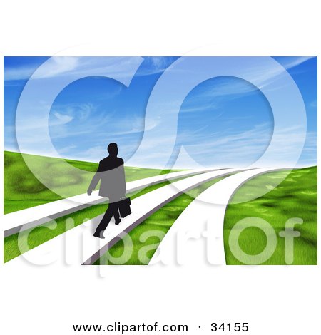 Clipart Illustration of a Black Silhouetted Businessman Walking One Of Three Paths Through A 3d Grassy Landscape Under A Blue Sky by Frog974
