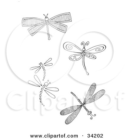 Clipart Illustration of a Group Of Five Different Dragonflies by C Charley-Franzwa