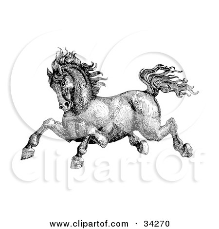 Clipart Illustration of a Black And White Pen And Ink Drawing Of A Muscular Victorian Horse Running To The Left by C Charley-Franzwa
