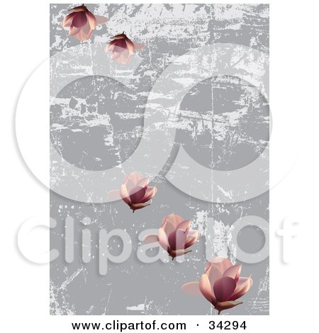Clipart Illustration of a Pretty Pink Lotus Flowers On A Scratched Gray And White Grunge Background by Eugene