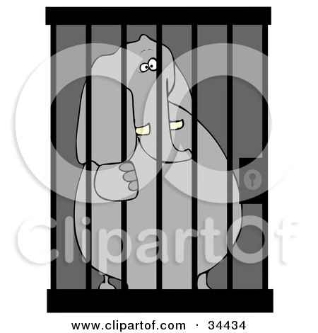 Clipart Illustration of a Jailed Elephant Behind Bars In A Prison Cell by djart