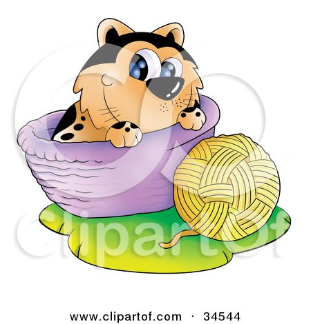 Clipart Illustration of a Playful Spotted Orange Cat In A Basket, Playing With A Ball Of Yarn by YUHAIZAN YUNUS