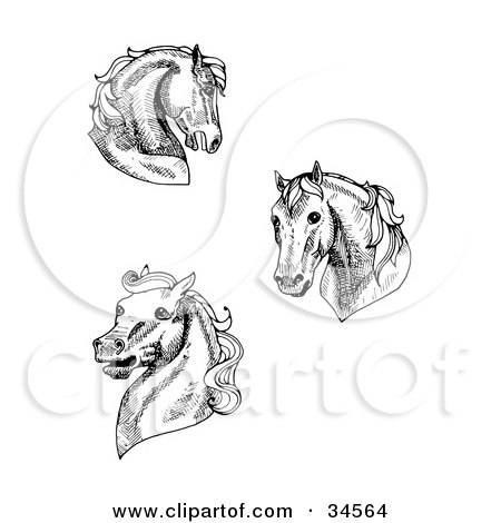 Clipart Illustration of a Set Of Three Black And White Horse Heads by C Charley-Franzwa