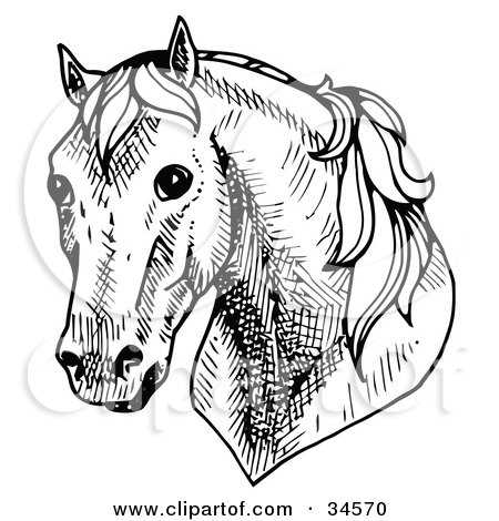 Clipart Illustration of a Shy Horse's Head Facing Front by C Charley-Franzwa