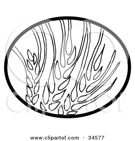 Clipart Illustration of a Black Oval Around Wheat by C Charley-Franzwa