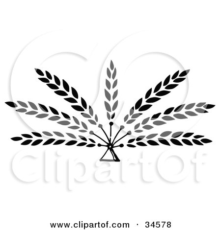 Clipart Illustration of Seven Branches Of Wheat Emerging From A Triangle  by C Charley-Franzwa