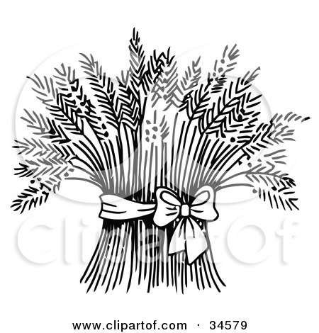 Clipart Illustration of a Bow And Ribbon Tied Around A Cluster Of Wheat by C Charley-Franzwa