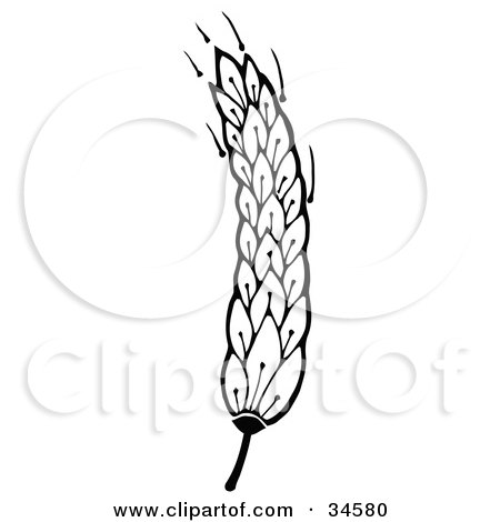 Clipart Illustration of a Head Of Wheat On The Stem, Waving In The Breeze by C Charley-Franzwa