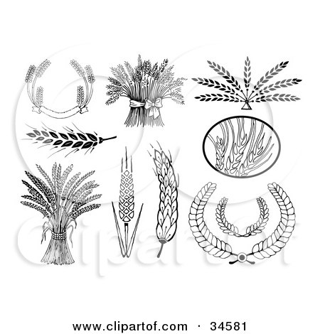 Clipart Illustration of a Set Of Black And White Wheat Banners, Bunches, Heads And Laurels by C Charley-Franzwa