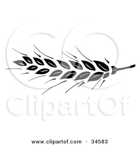 Clipart Illustration of a Black Wheat Head On The Tip Of A Stem by C Charley-Franzwa