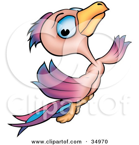 Clipart Illustration of a Pretty, Blue Eyed, Pink, Purple And Blue Bird Flying by dero