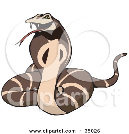 Clipart Illustration of a Defensive Brown Cobra Snake Hissing And Flaring Its Hood by Dennis Holmes Designs