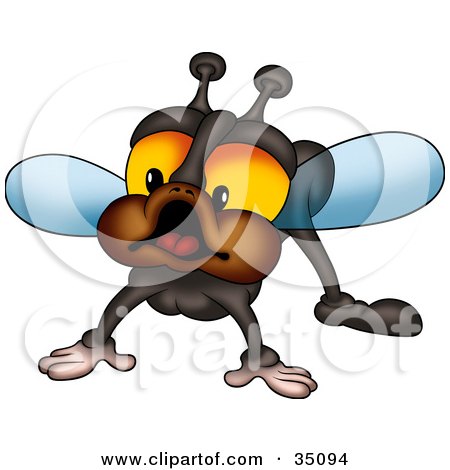 Clipart Illustration of a Curious Fly With Big Orange Eyes And Brown Cheeks by dero