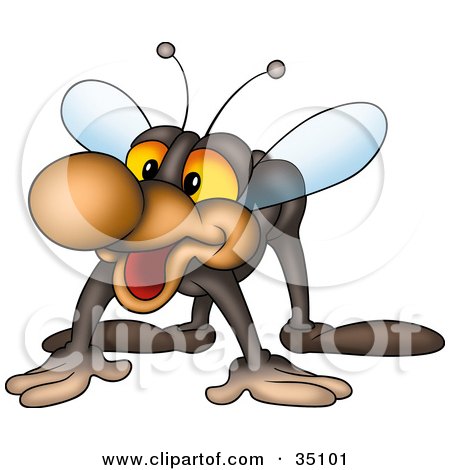 Clipart Illustration of a Friendly Gray Fly With A Big Brown Nose by dero