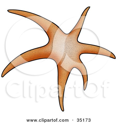 Clipart Illustration of a Long Armed Orange Starfish by dero