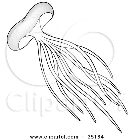 Clipart Illustration of a Swimming Black And White Jellyfish With Long Tentacles by dero