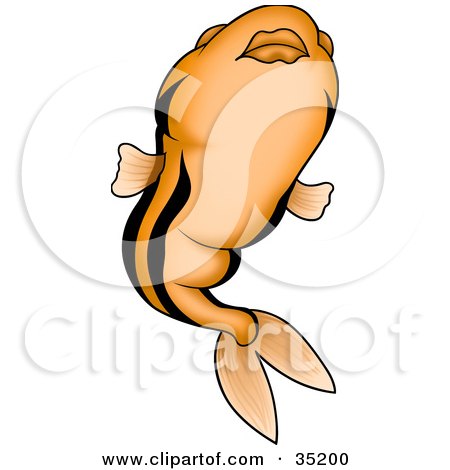 Clipart Illustration of an Orange Fish With Black Stripes And Big Lips, Swimming Upwards by dero
