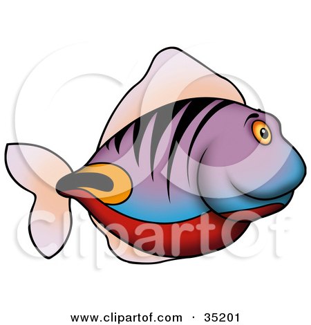 Clipart Illustration of a Purple Fish With Tiger Stripes And Red, Orange And Black Markings, Swimming In Profile by dero
